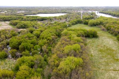 Weltands and confluence of rivers with Hastings bridge in background