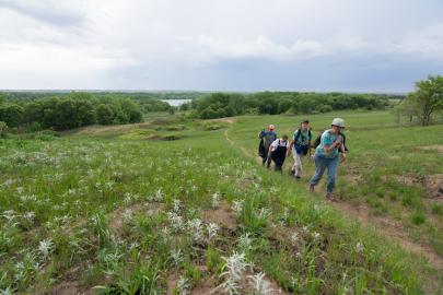 Volunteers walk up hill at Grey Cloud Dunes