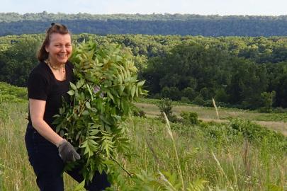 Volunteer working at Grey Cloud Dunes SNA
