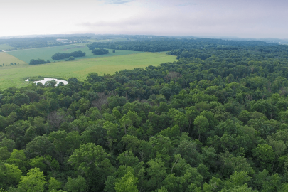 Hampton Woods aerial view