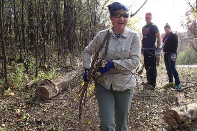 Volunteers help restore the shoreline of a trout nursery by removing precut invasive buckthornuckthorn