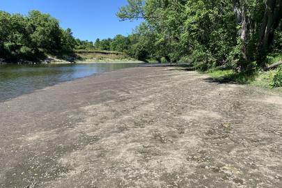 Floodplain with river