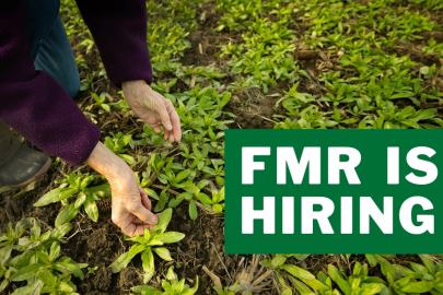 Person holds oilseed crop, text: "FMR is hiring"