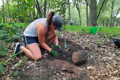 Volunteer plants a tree at James Rice Park