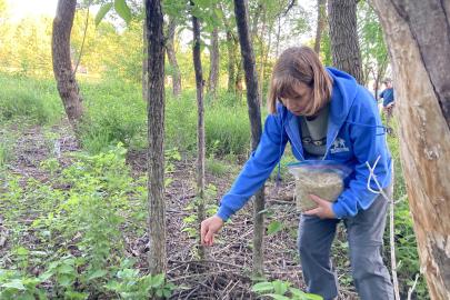 Volunteer Karla distributes grass seed at Vermillion River Linear Park