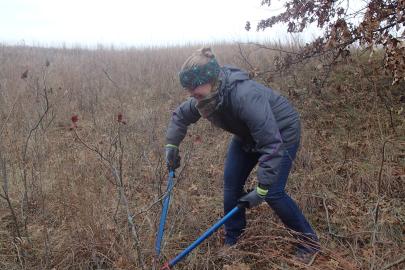 Volunteer lopping sumac