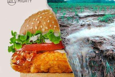 Meat on one side, ag runoff on the other 