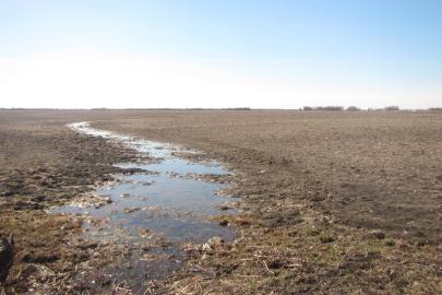 Sediment-laden runoff during spring on bare, brown cropland.
