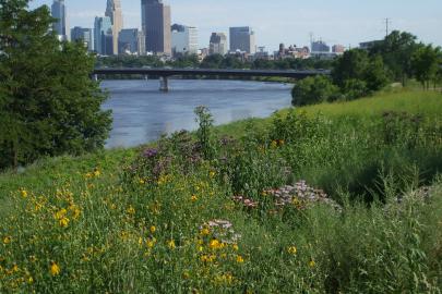 View of downtown Minneapolis from Ole Olson Park in N Mpls