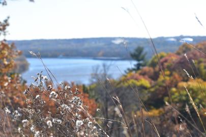 View of river through prairie in autumn