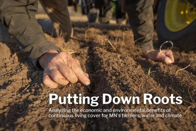 A hand prods at the bare dirt, prepping for a seed planting. Text says "Putting Down Roots: Analyzing the economic and environmental benefits of  continuous living cover for MN’s farmers, water and climate"