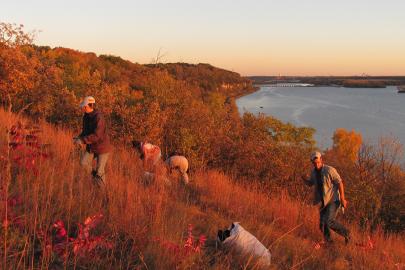 River bluff at sunset with volunteers