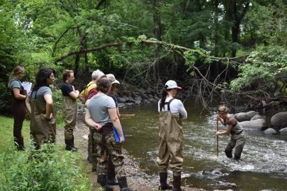 SHEP team in waders at a creek