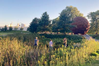 People work in raingarden below sphere memorial