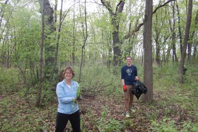 Two volunteers pull garlic mustard