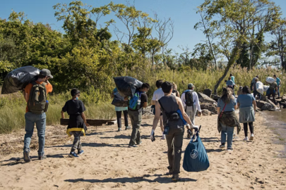 Volunteers at a waterway cleanup