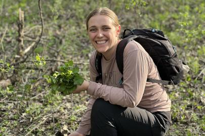 Volunteer pulls garlic mustard at Hastings Sand Coulee SNA