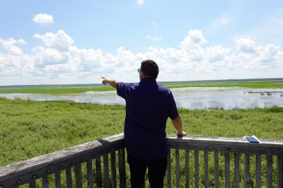 Person points toward wetland