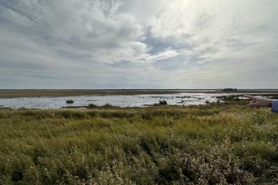 Hand pointing over wetland