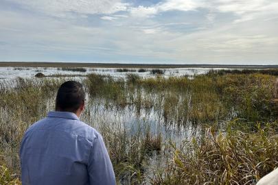 People look out over wetland