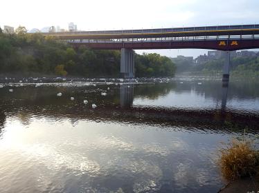 Foam puffs on the river