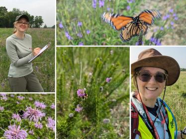 Annika, Julia, a monarch, black and gold bumble bee, red-belted bumble bee