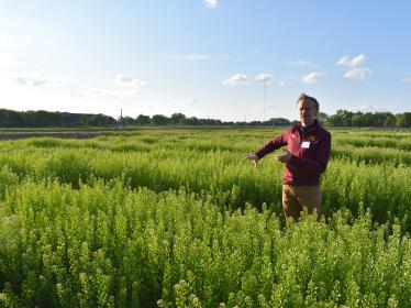Forever Green's Mitch Hunter gestures in a pennycress field