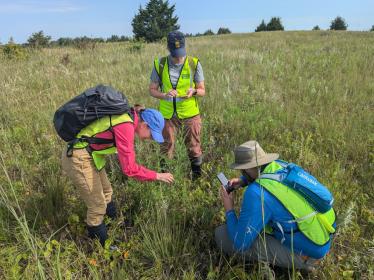 FMR ecologists and field intern in prairie