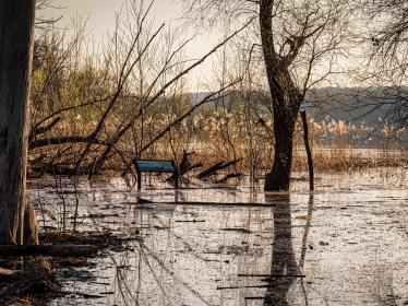 A flooded path at Crosby Farm Regional Park.