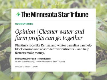 Winter camelina with a screengrab of the Star Tribune piece overlaid.