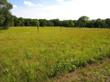 Camp Cozy prairie and birdhouses