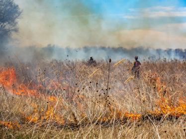 Prescribed fire in a prairie