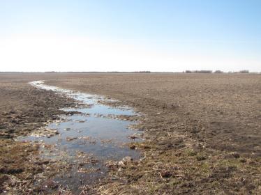 Sediment-laden runoff during spring on bare, brown cropland.