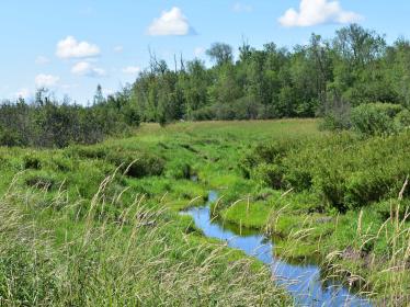 A small stream cuts through lush, green land near the proposed mine site.
