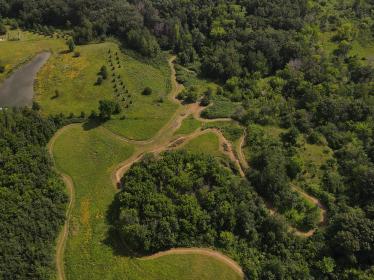 Aerial view of trail, water, forest