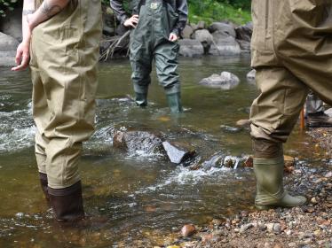 Three people wearing waders stand in ankle-deep water.