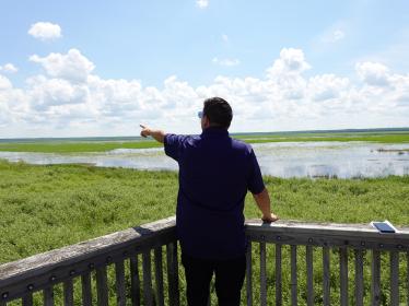Person points toward wetland