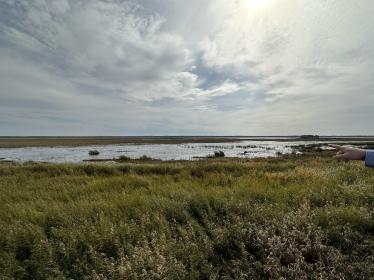 Hand pointing over wetland