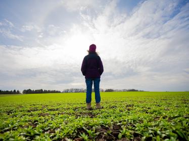 A farmer standing in a field of fall-growing winter-hardy camelina.