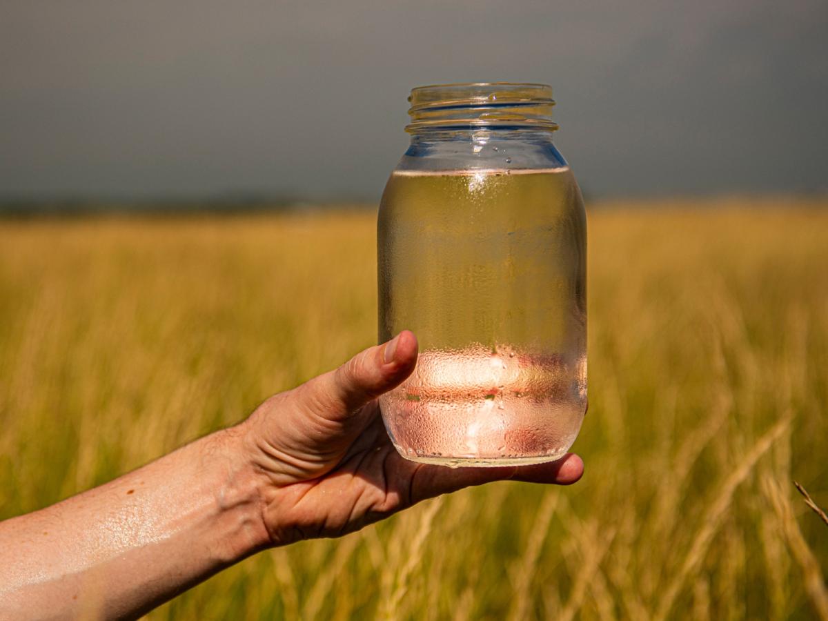A hand holds a mason jar filled to the top with clear, clean water. A field of Kernza perennial grain is in the background.
