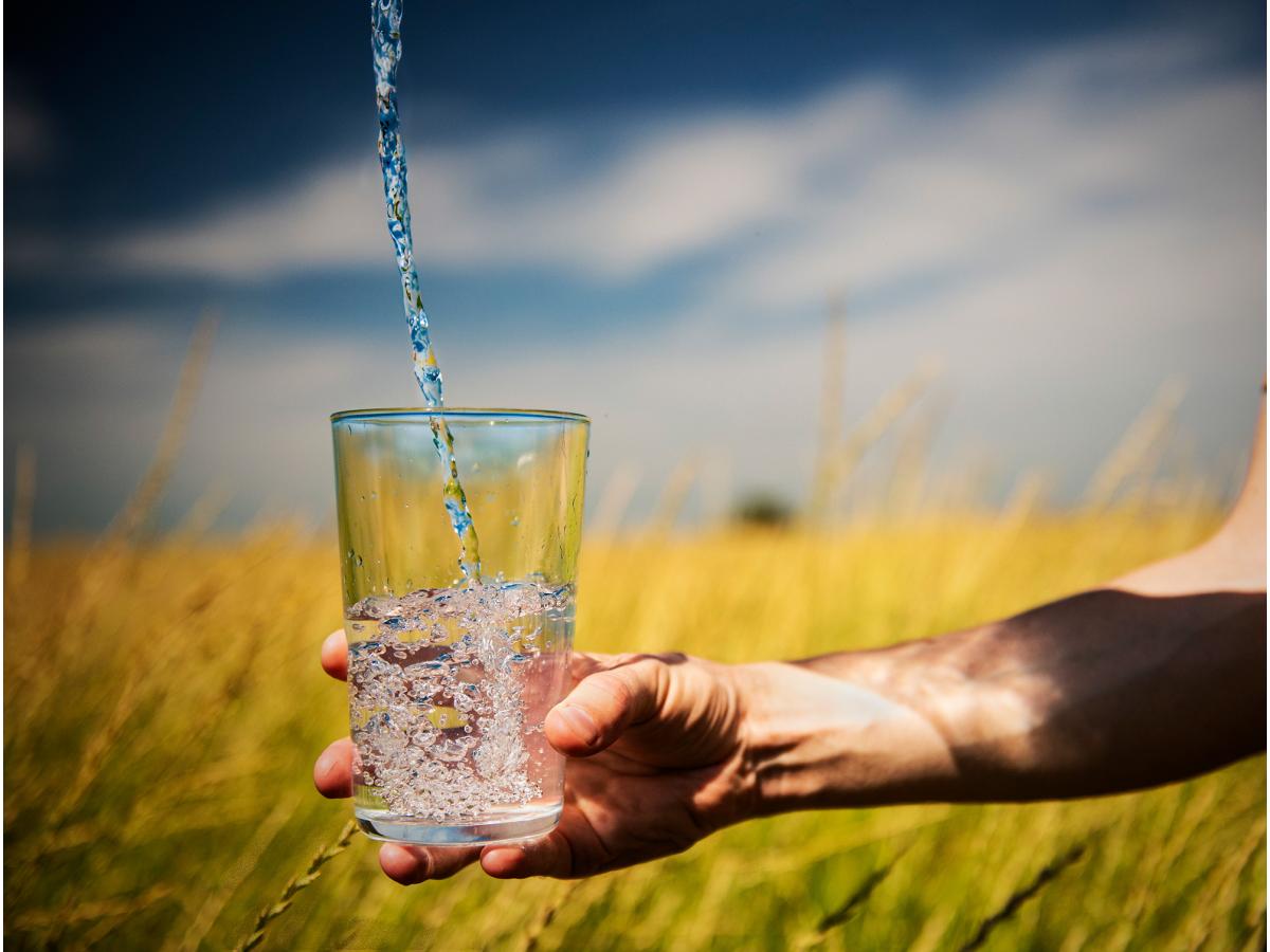 Water being poured into glass, being held by a hand in a field of Kernza.