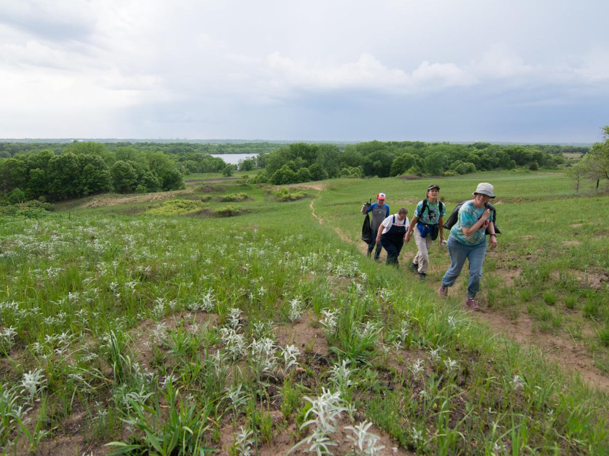 Volunteers on a dirt trail in a rare prairie with the Mississippi River in the background.