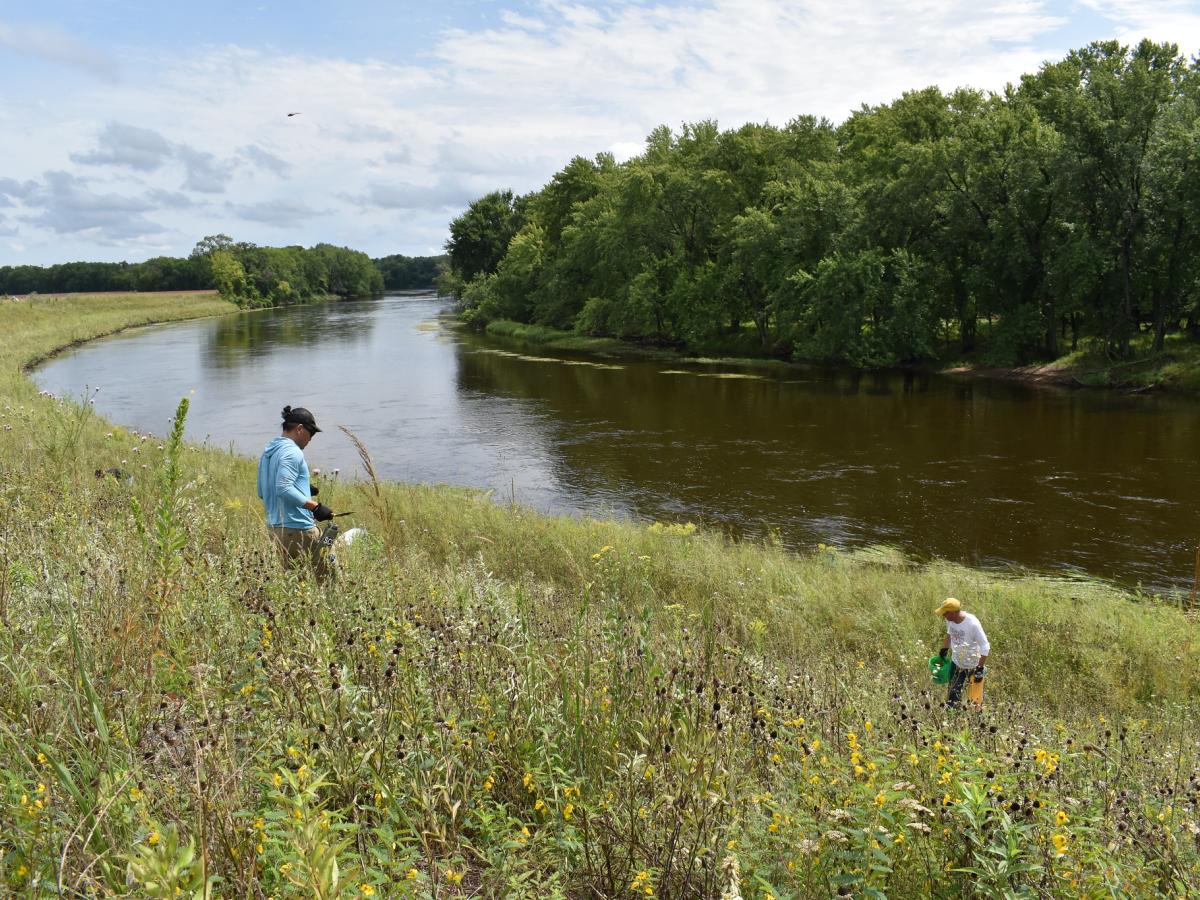 Two volunteers tend prairie by the river