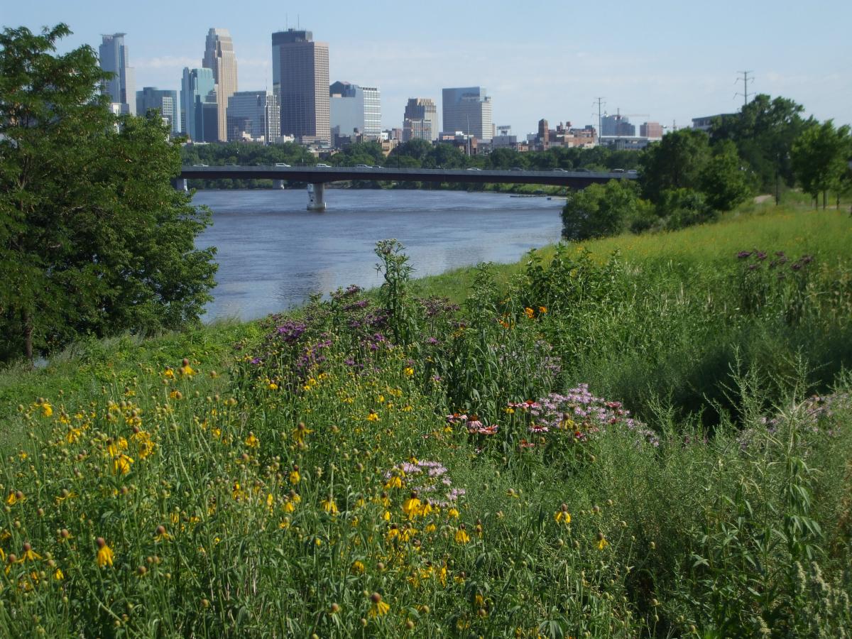View of downtown Minneapolis from Ole Olson Park in N Mpls