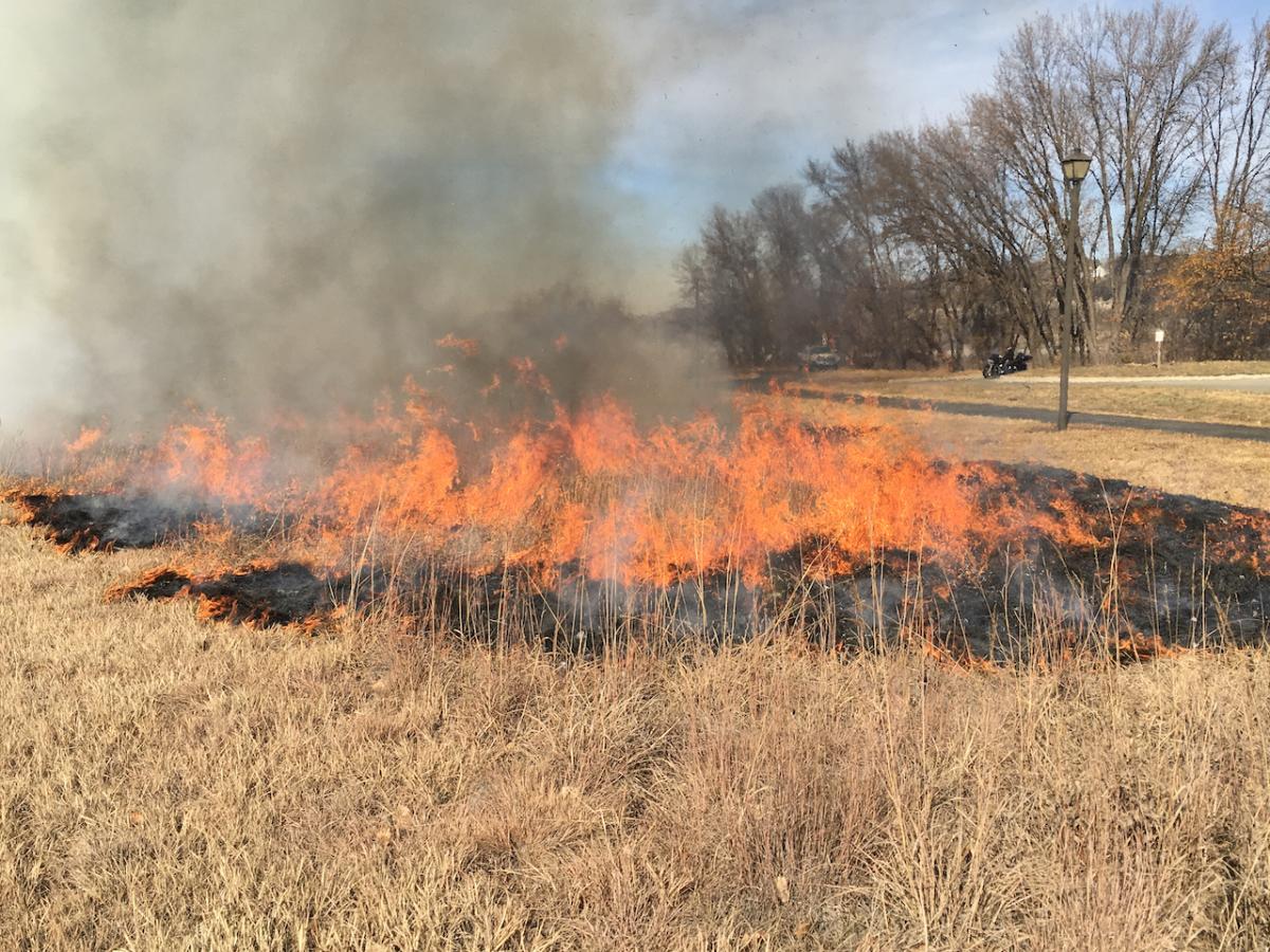 Prairie fire, prescribed burn at Hastings River Flats