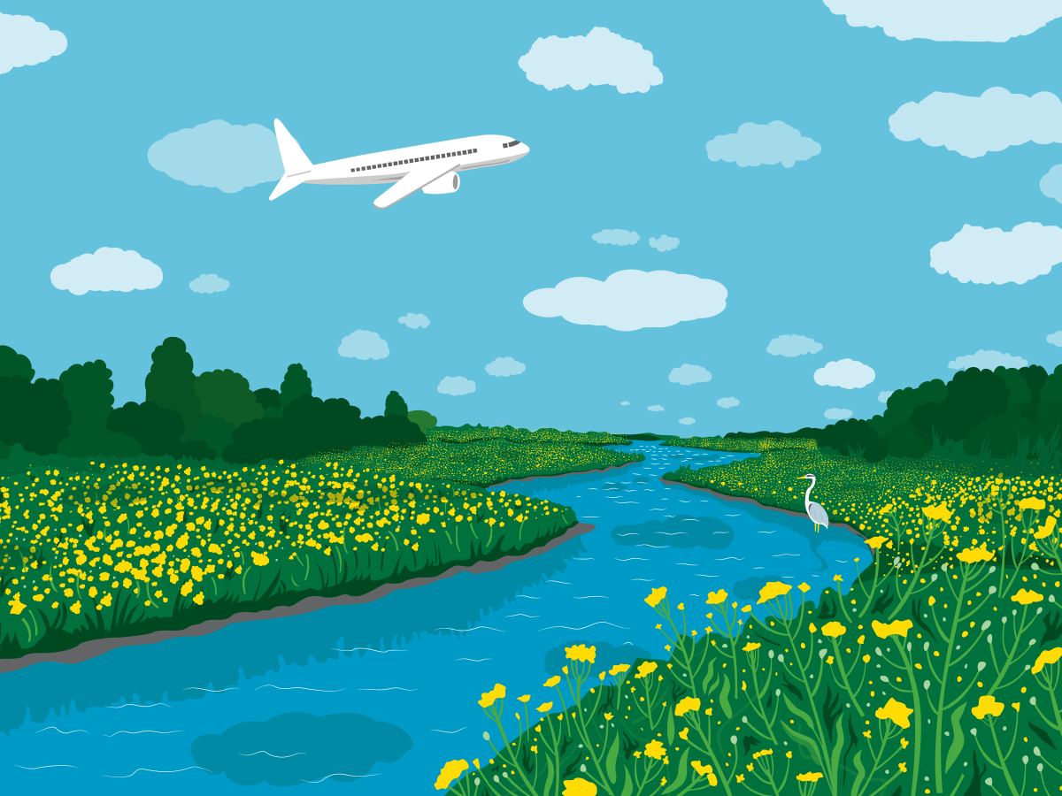 Airplane flies over blue river surrounded by yellow flowers