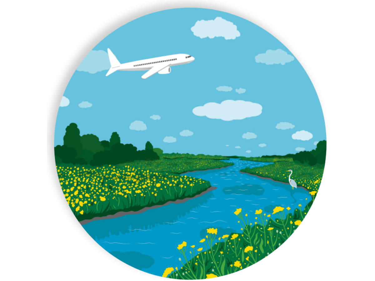 Illustration of plane over river with camelina and a heron