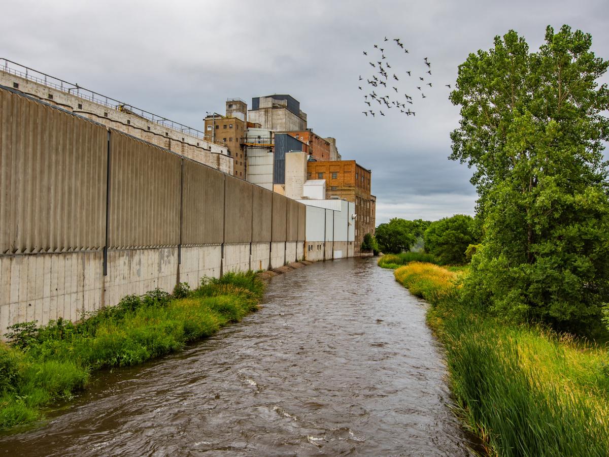 Vermillion River with industrial building on one bank and forest on other