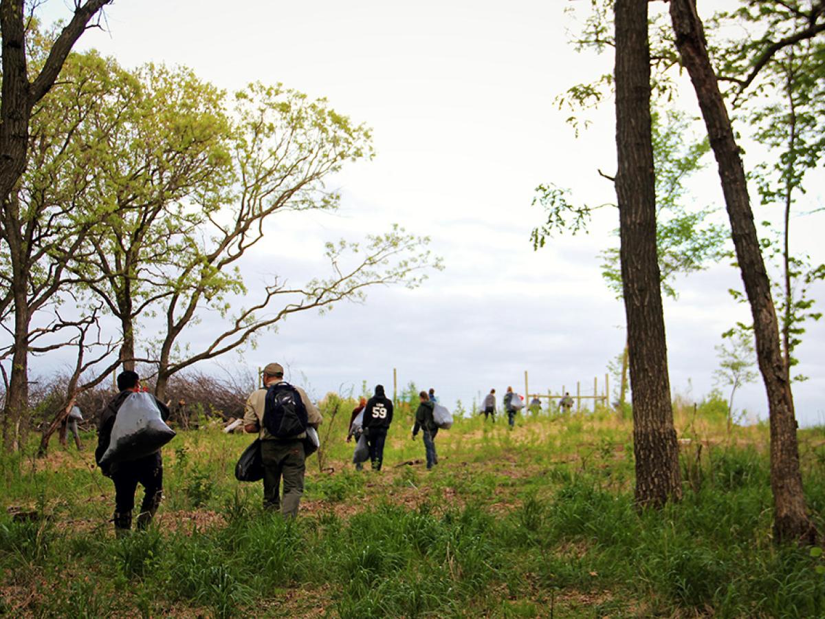 People carry bags through savanna