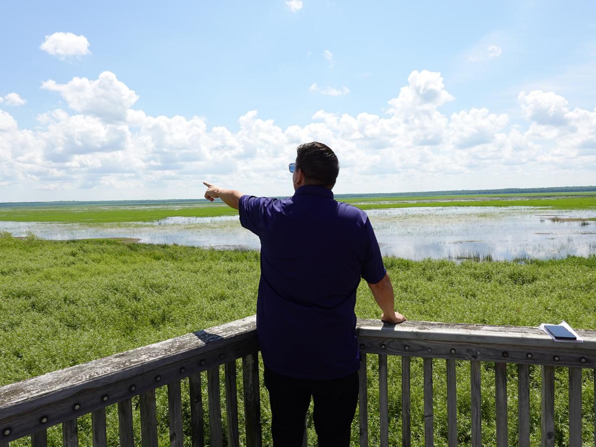 Person points toward wetland